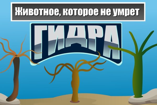 Как через тор браузер зайти в мегу