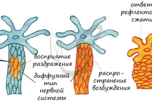 Где взять ссылку на блэкспрут