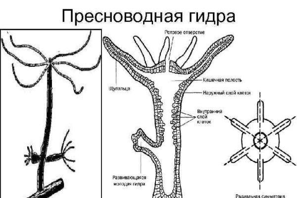 Mega market ссылка тор