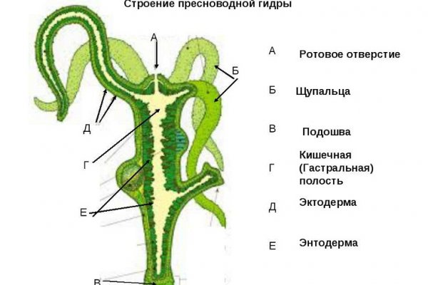 Кракен через тор 6