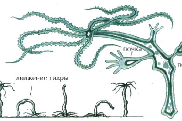 Сайт мега фейк mega ssylka onion com