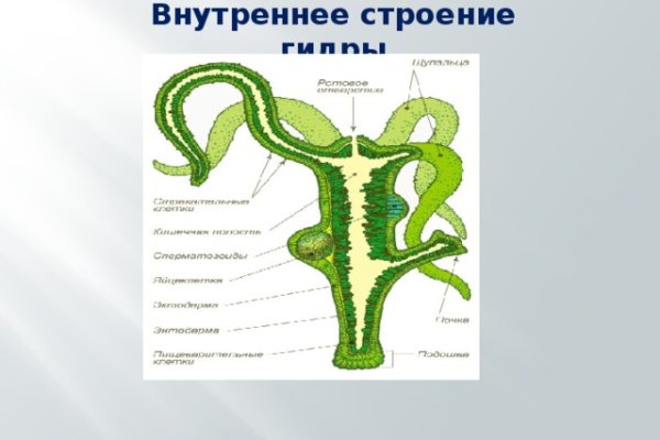 Krakenruzxpnew4af зеркало